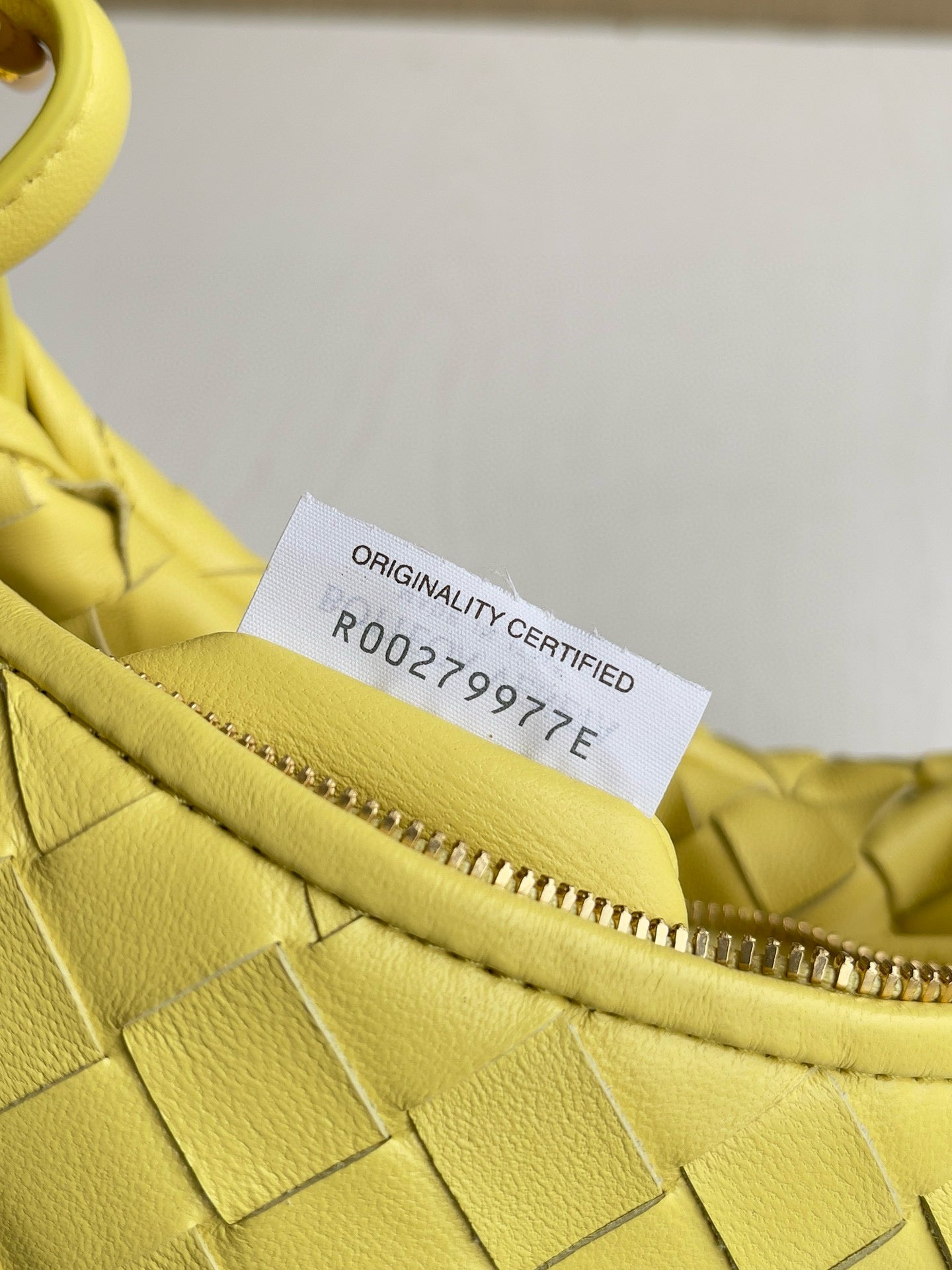 BV Gemelli Intrecciato Bag