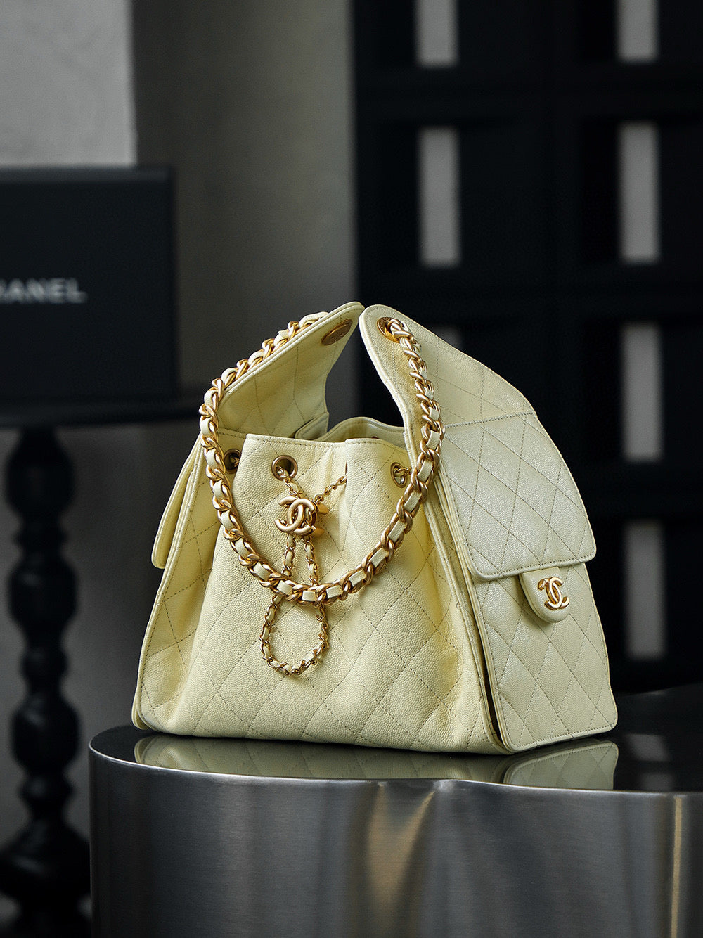 Chanel Hobo 25Bag (small)