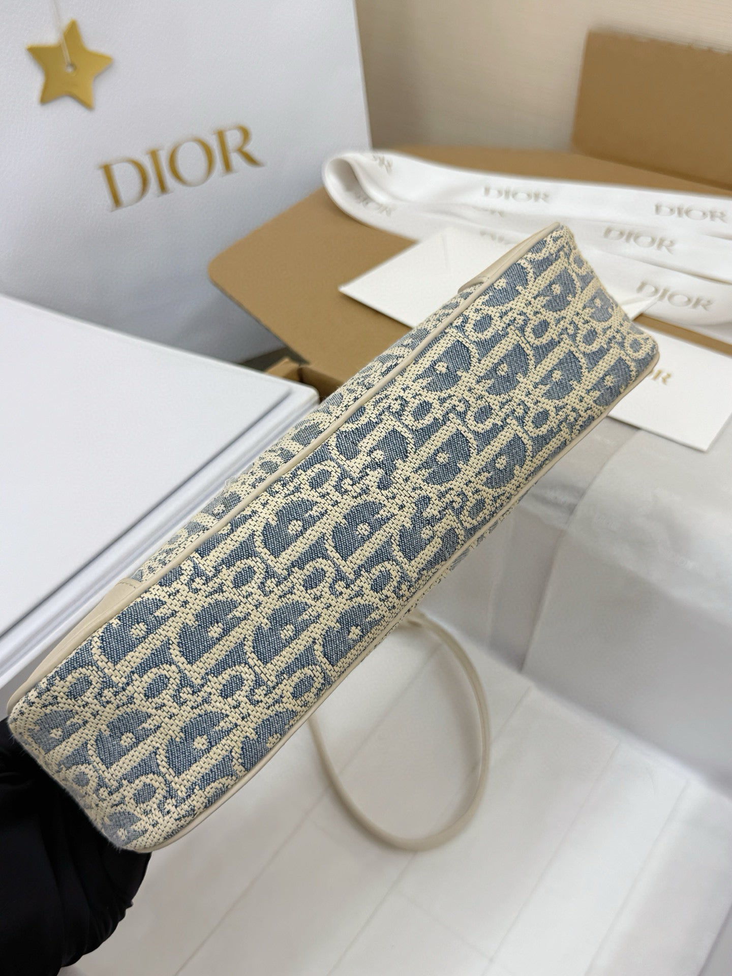 Dior Hobo Bag