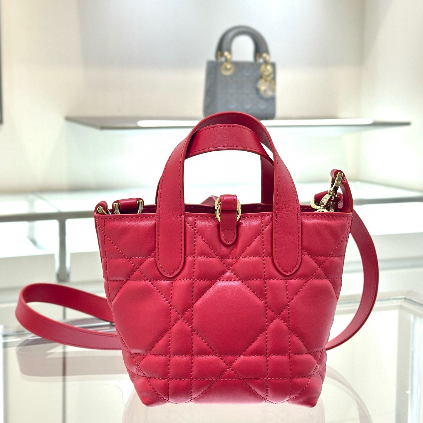 Dior Toujours Mini Bag