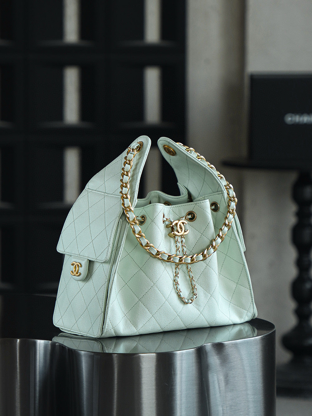 Chanel Hobo 25Bag (small)