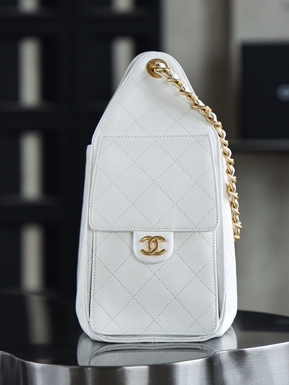 Chanel Hobo 25Bag (small)