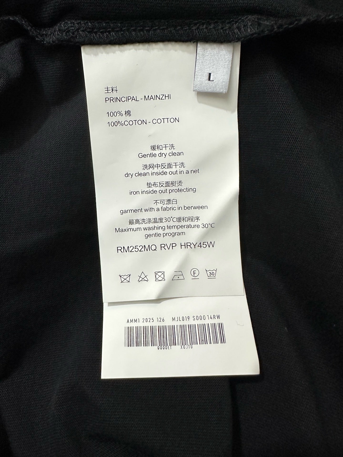 MM6 Singlet