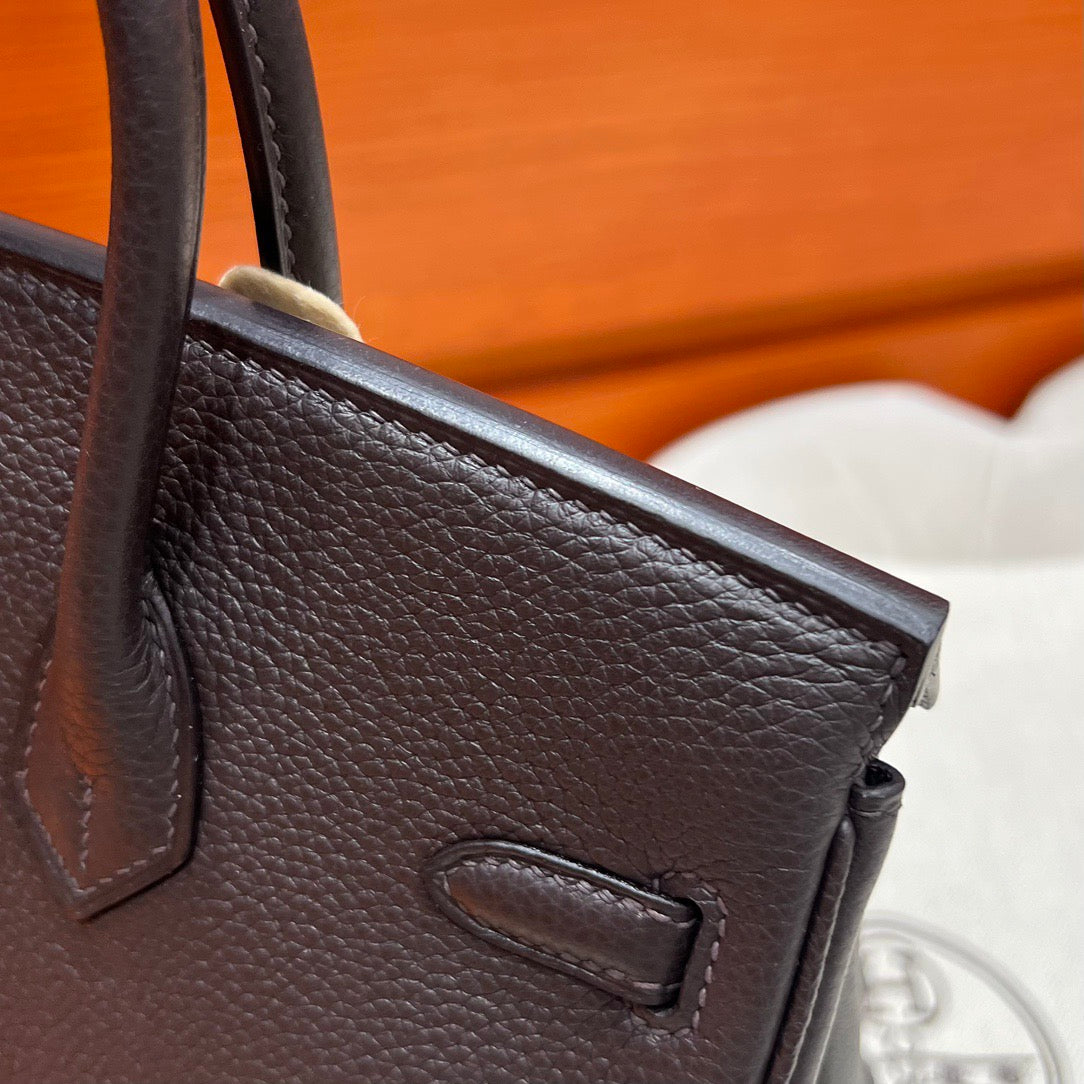 Hermes Birkin 25