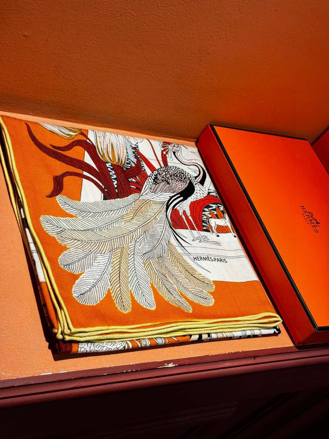 Hermes Scarves
