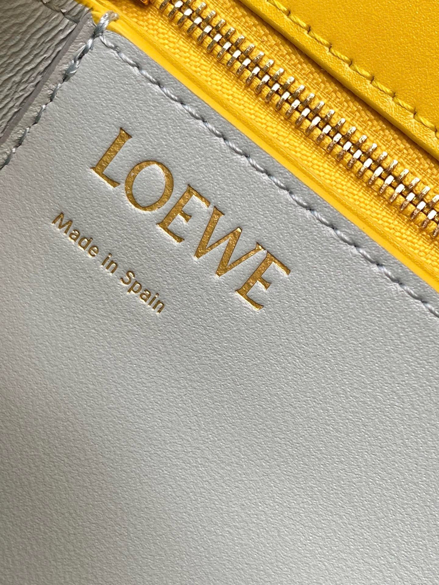 Loewe Goya Leather