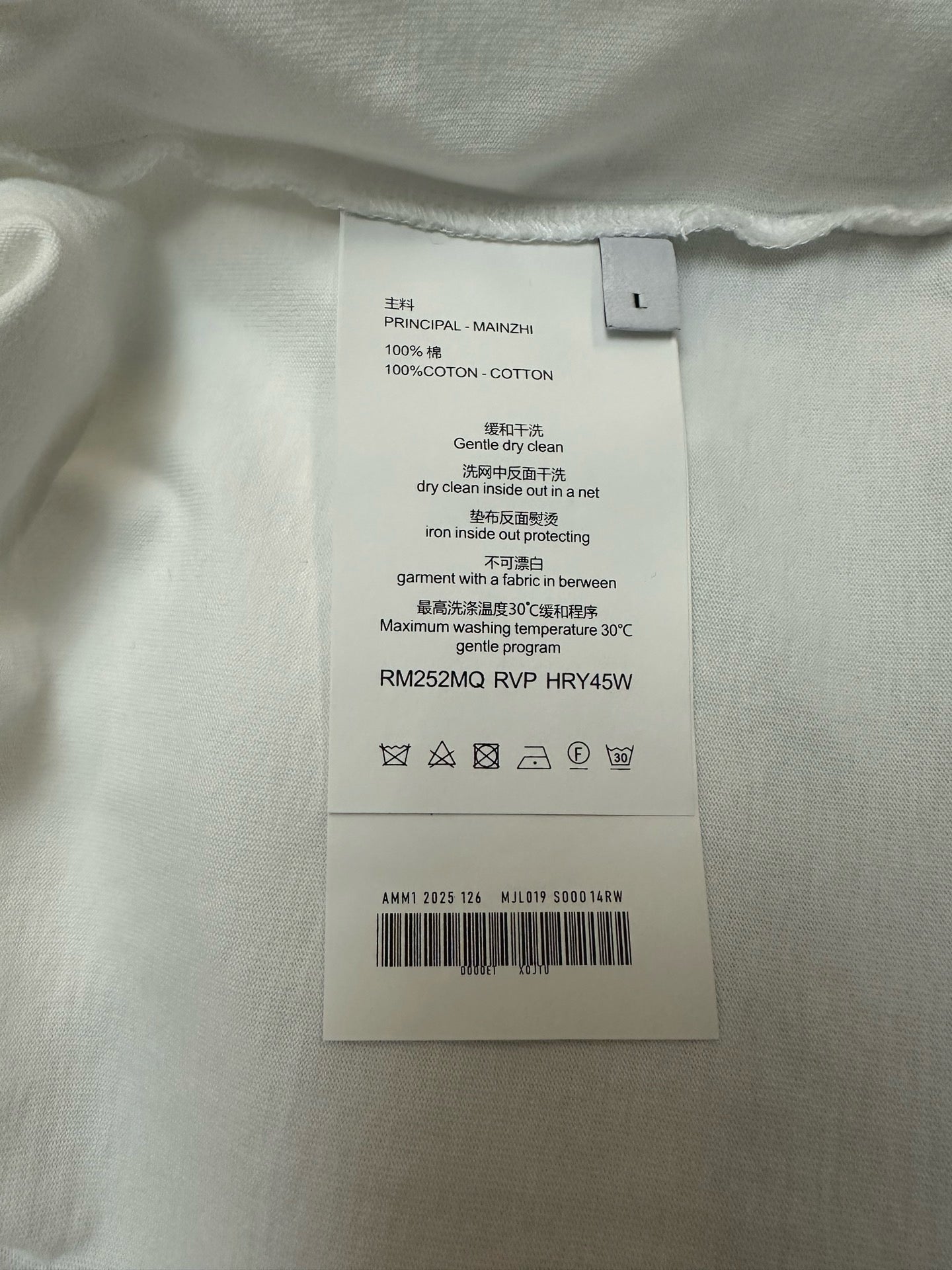 MM6 Singlet