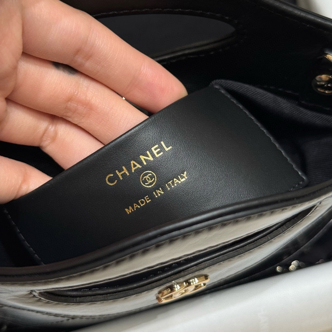 Chanel 31 Nano Mini (20.5x17.5x4cm)