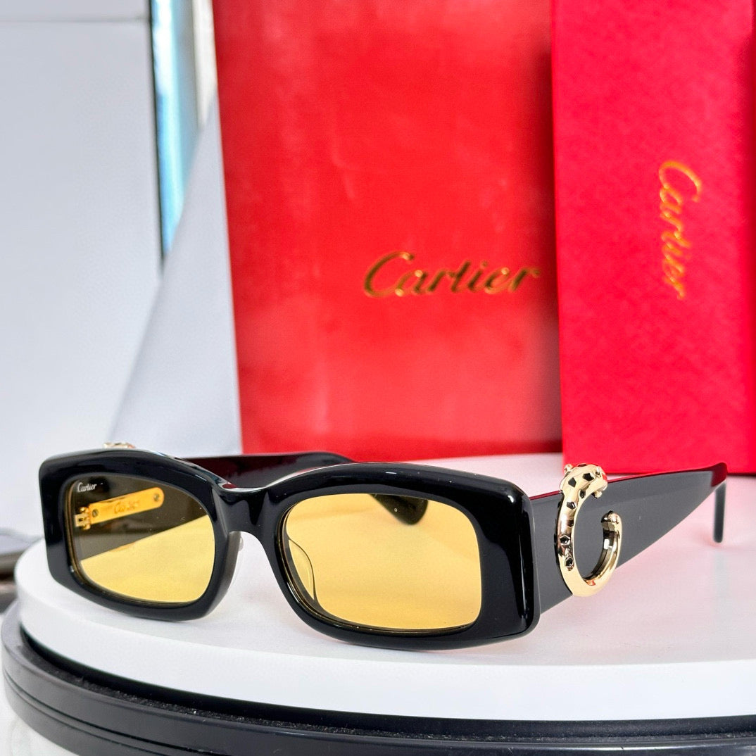 Cartier Sunglasses