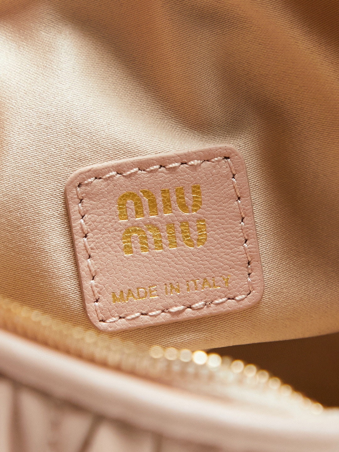 Miu Miu Case Bag