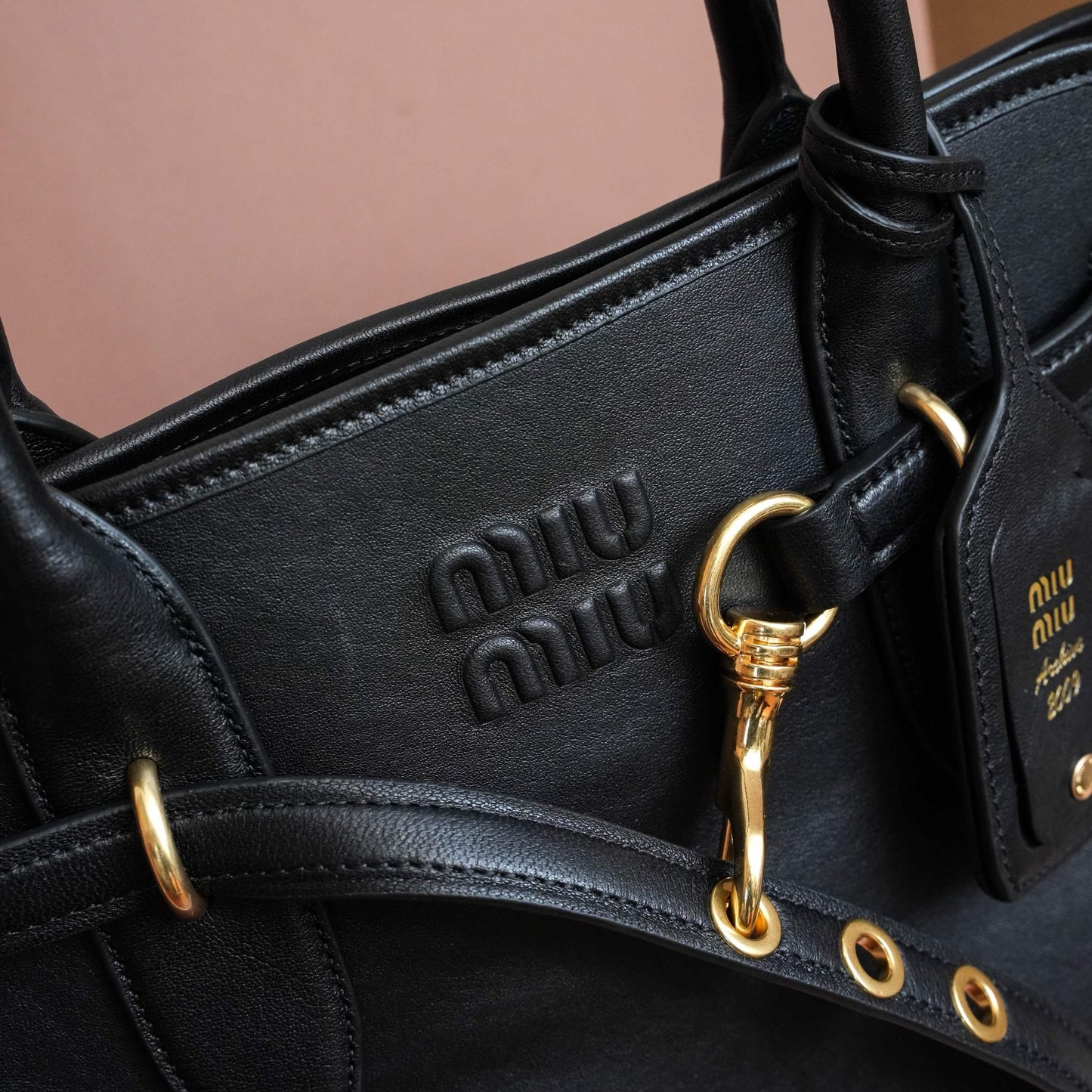 Miu Miu Tote Bag