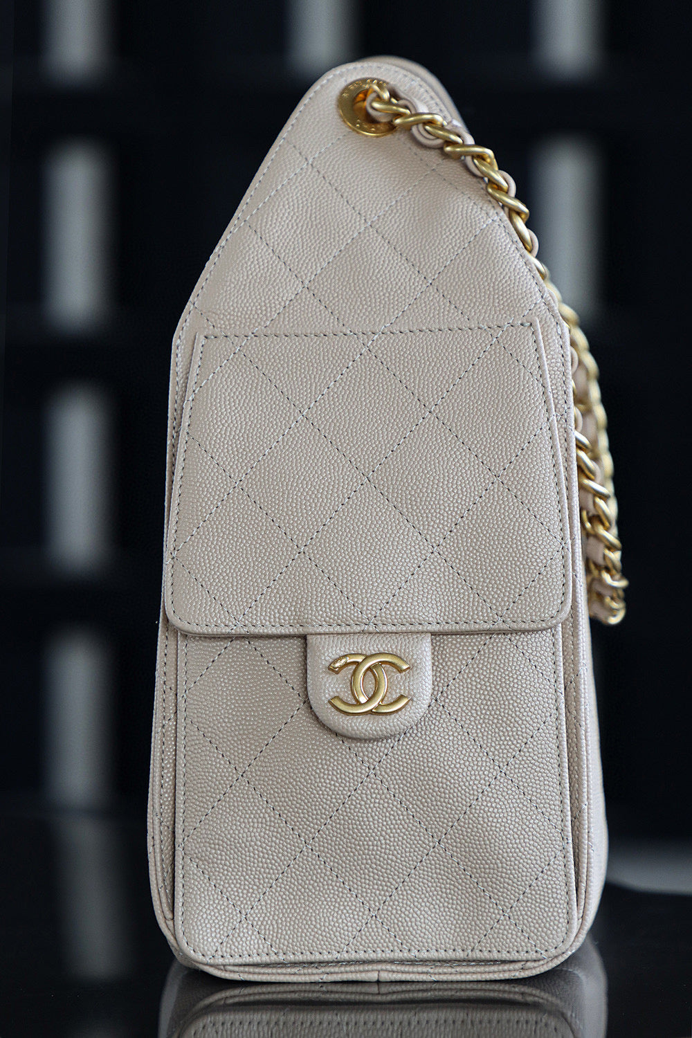 Chanel Hobo 25Bag (small)