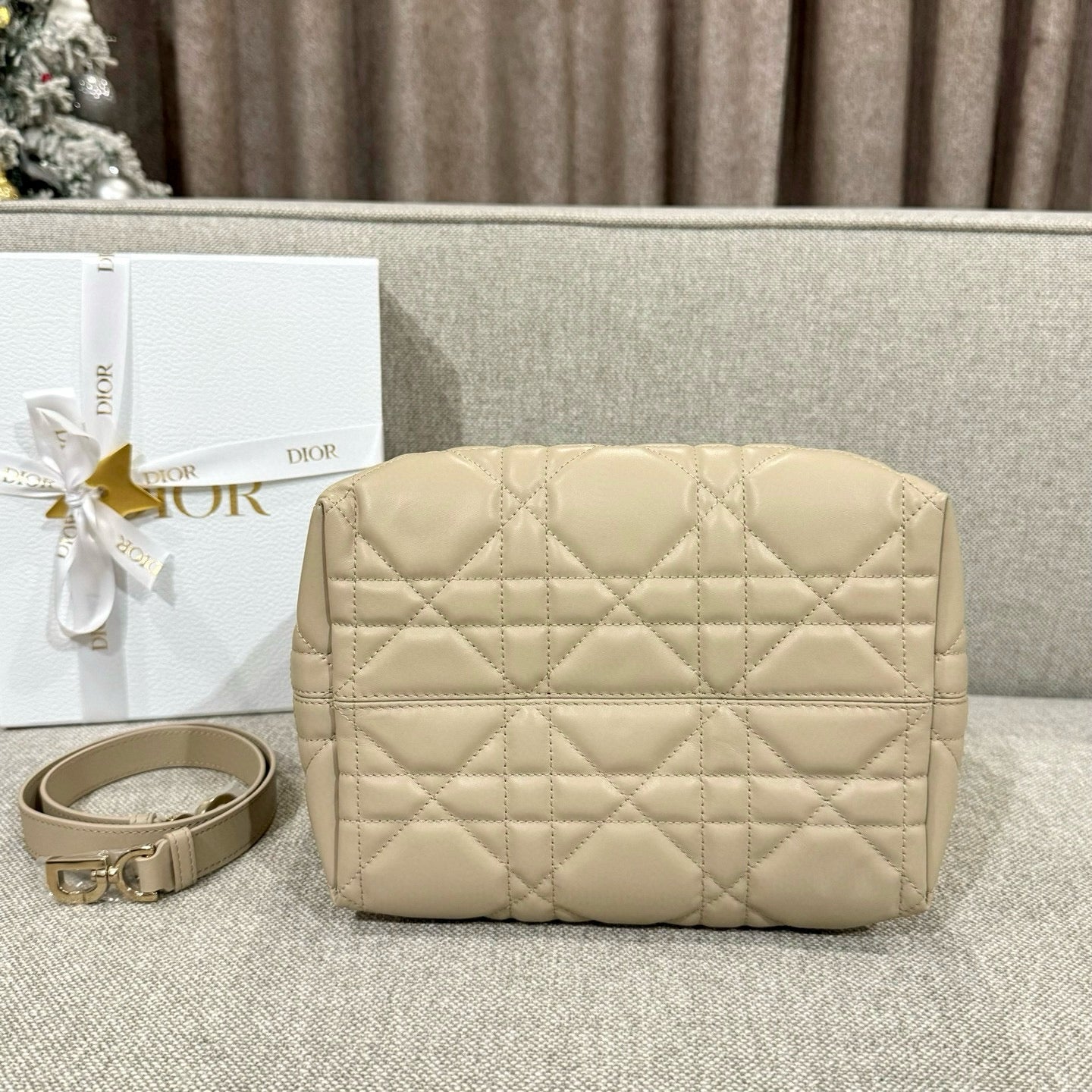 Dior Toujours Mini Bag