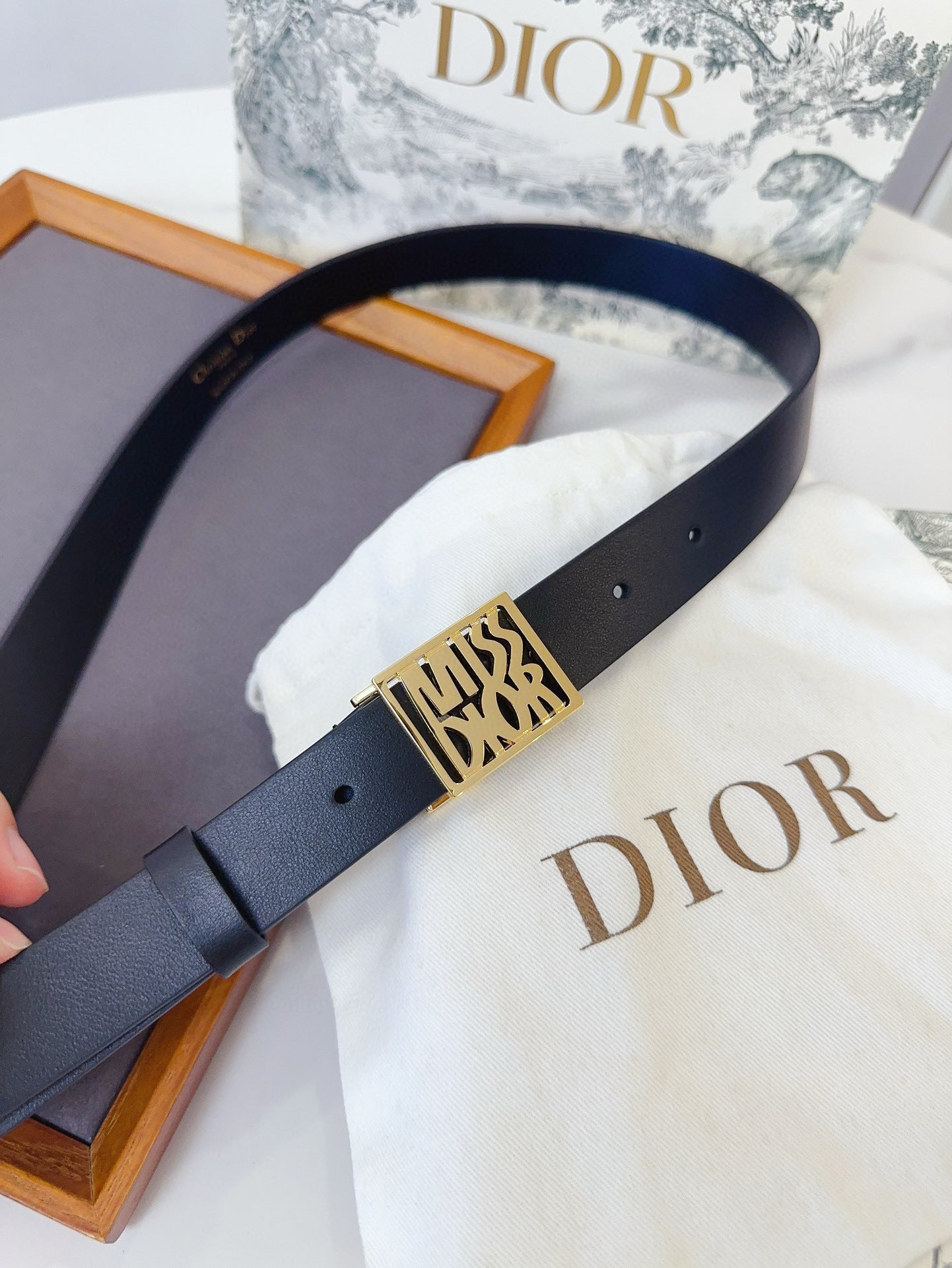 Dior Miss Dior Graffiti (Width 2.5cm)