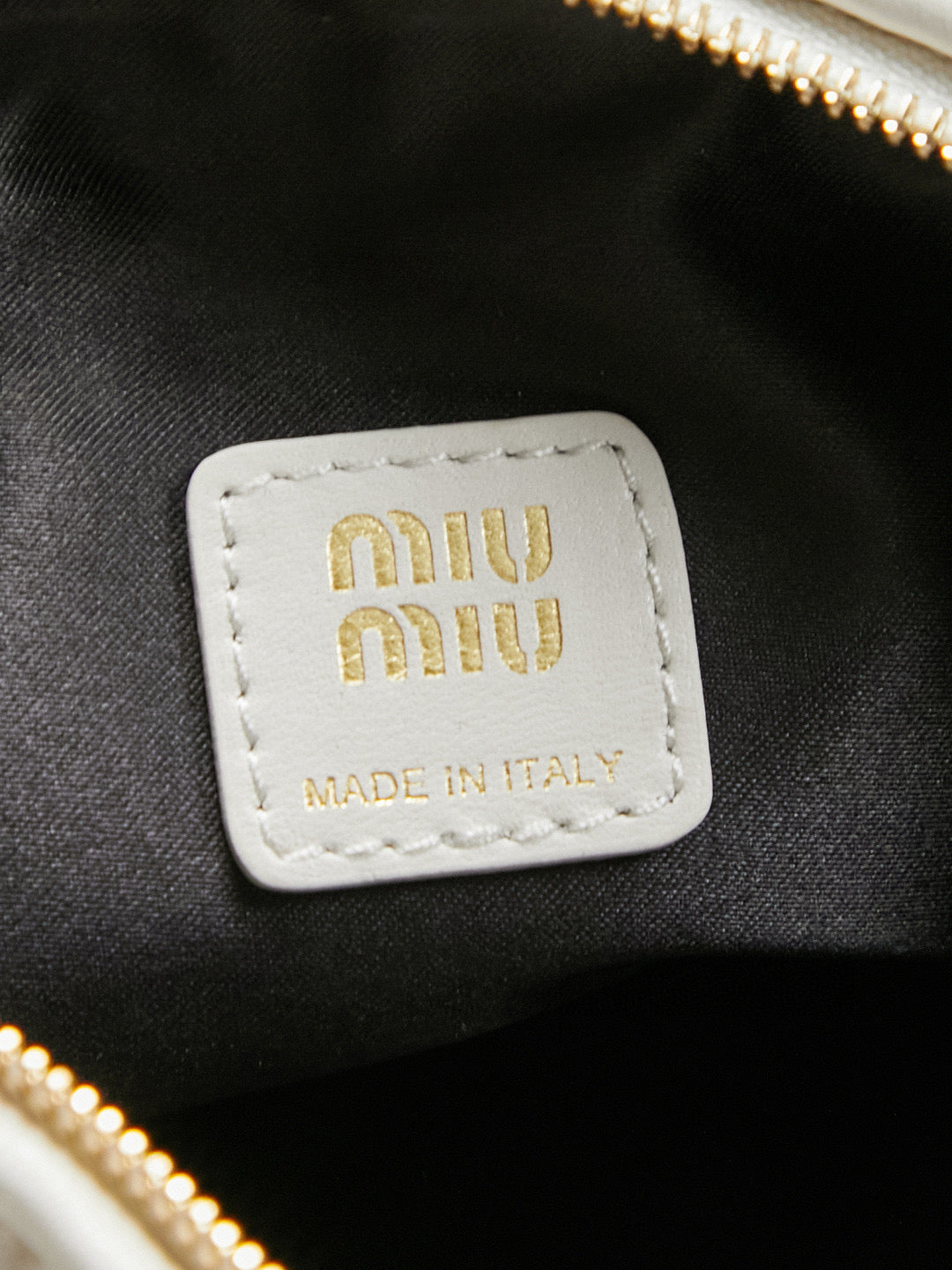 Miu Miu Case Bag