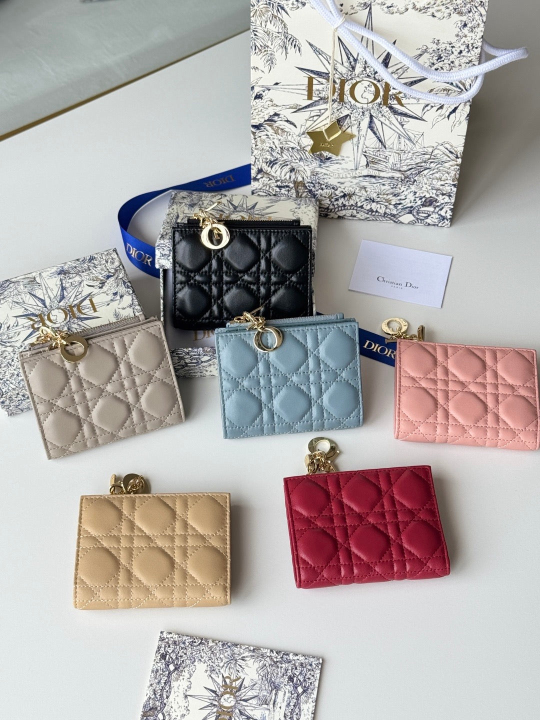 Dior Wallet