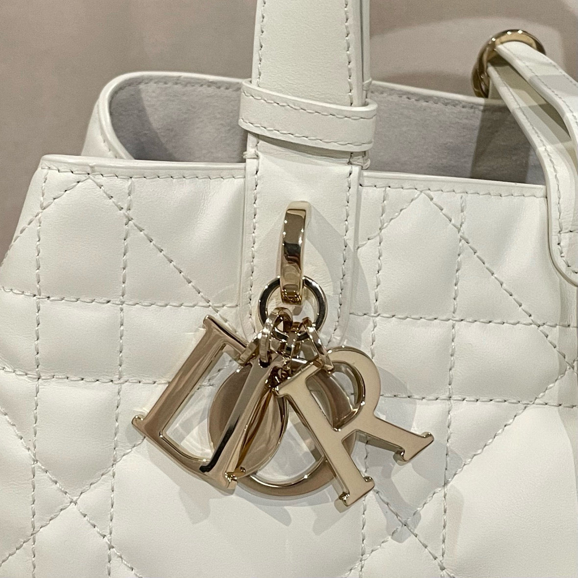 Dior Toujours Bag