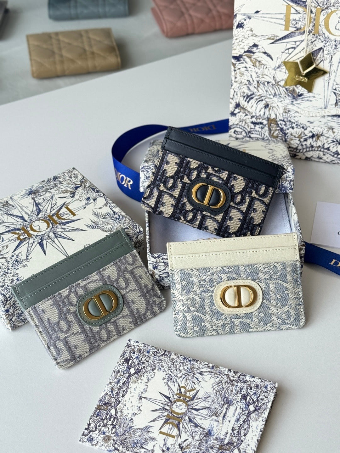 Dior Card Holder