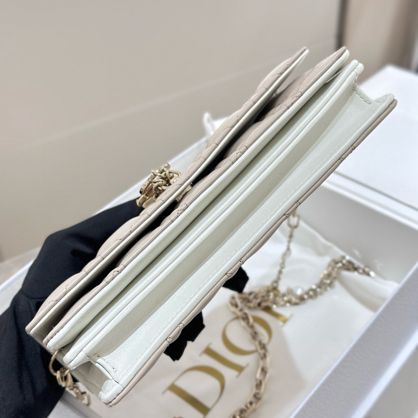 Dior WOC
