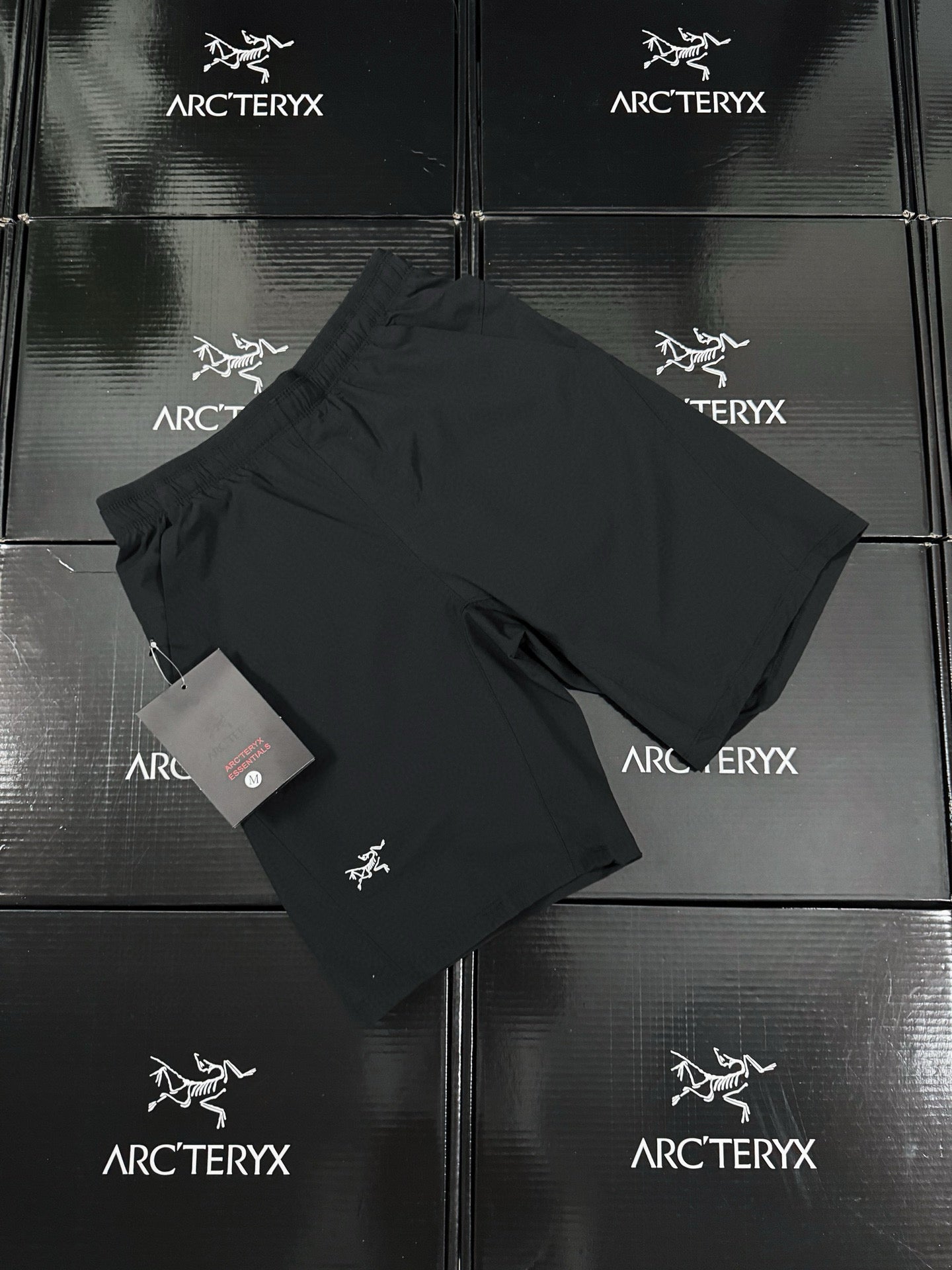Arcteryx Short