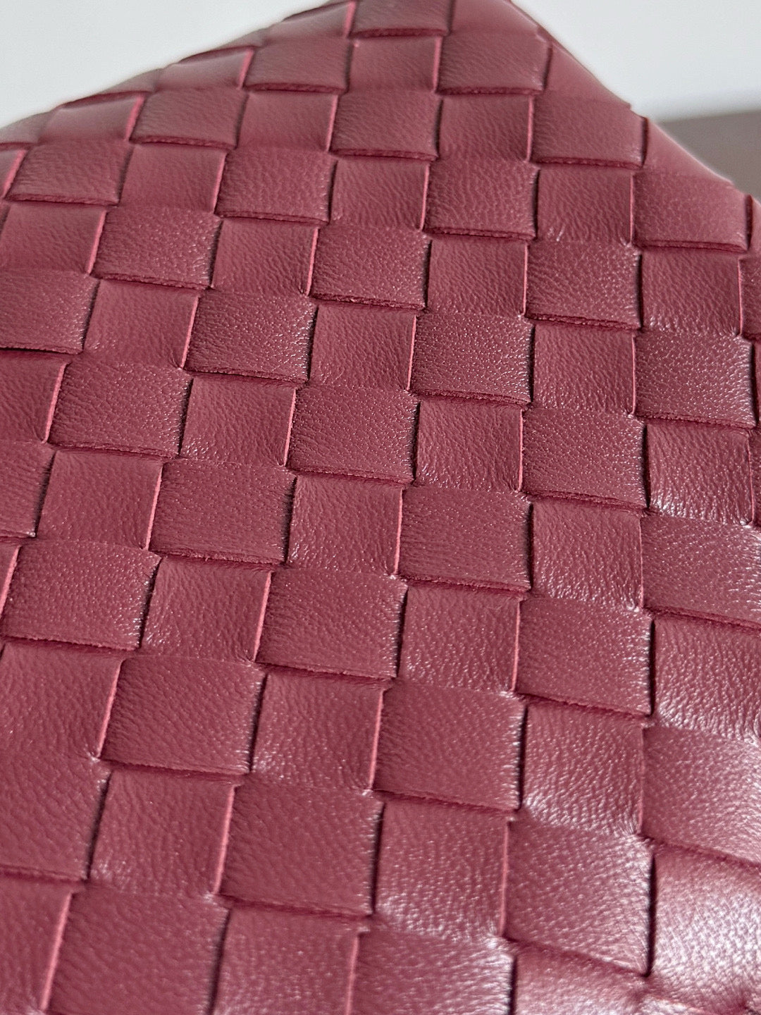 Bottega Veneta Soft Vanity Bag