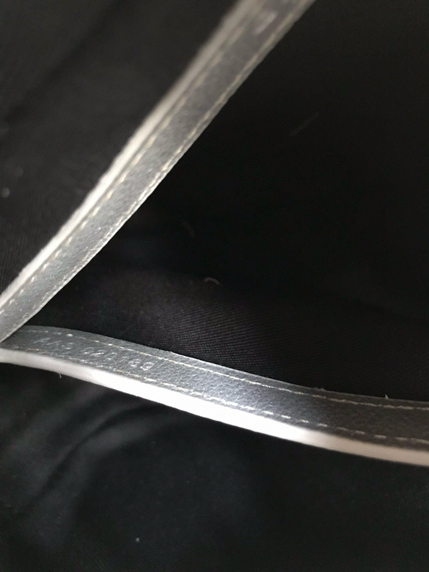 GOYARD CAP-VERT PM BAG