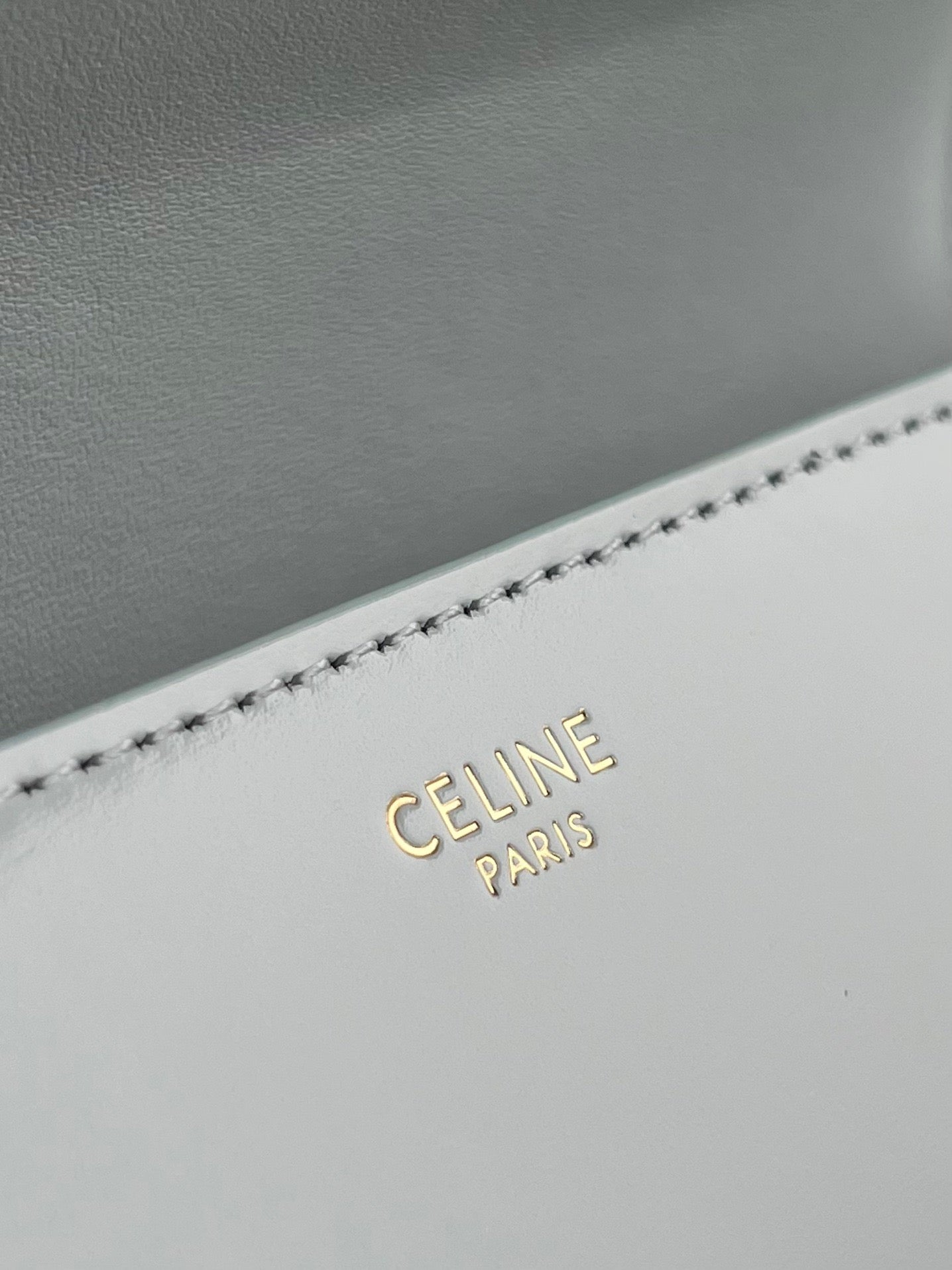 Celine Triomphe Hobo