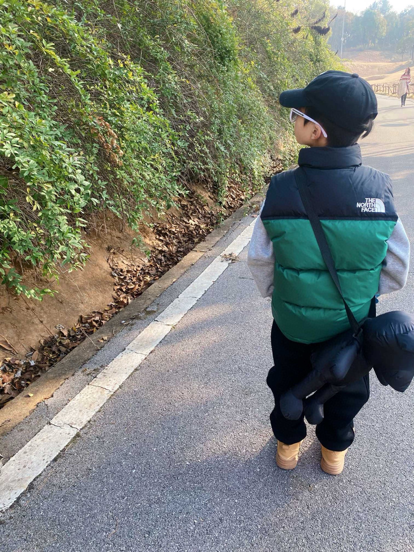 The North Face Insulated Vest Jacket