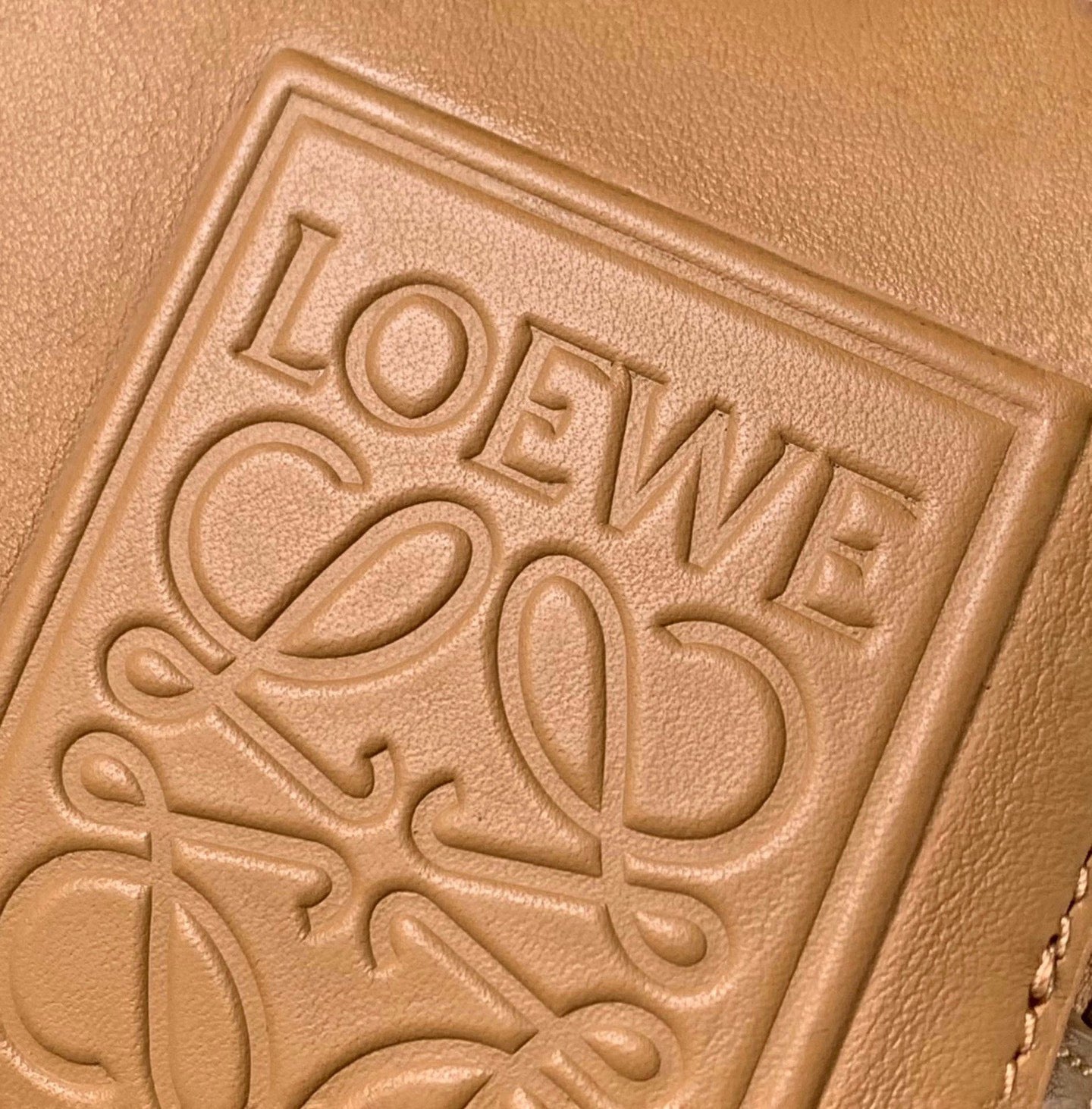 Loewe Cross Body Bag