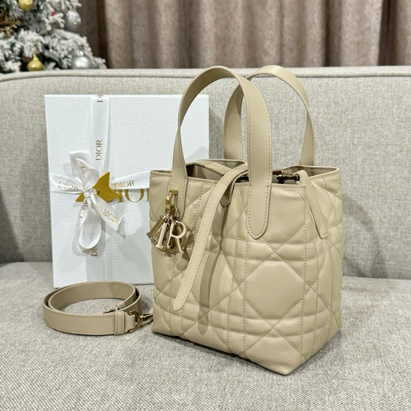 Dior Toujours Mini Bag