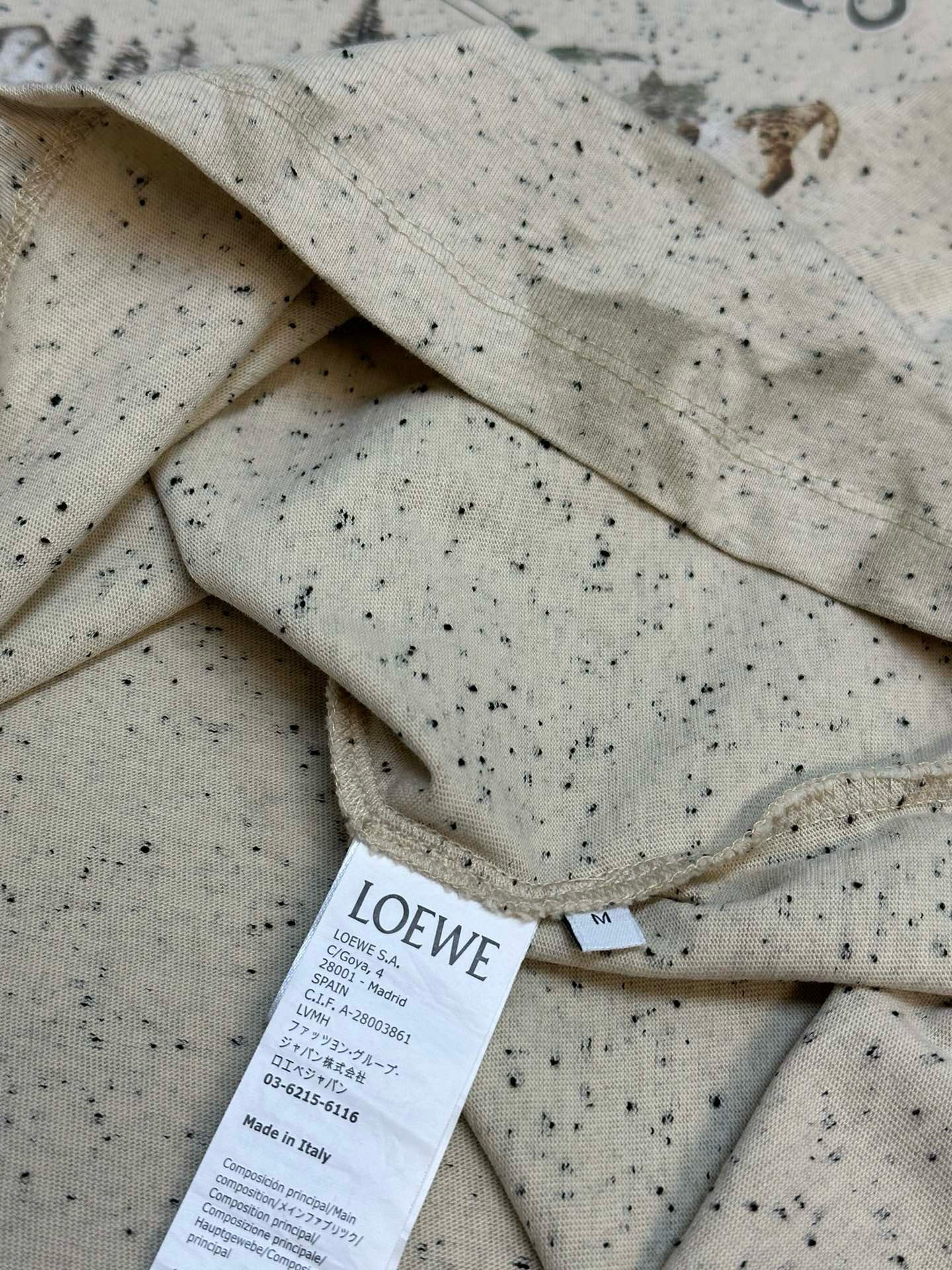 Loewe T-Shirt