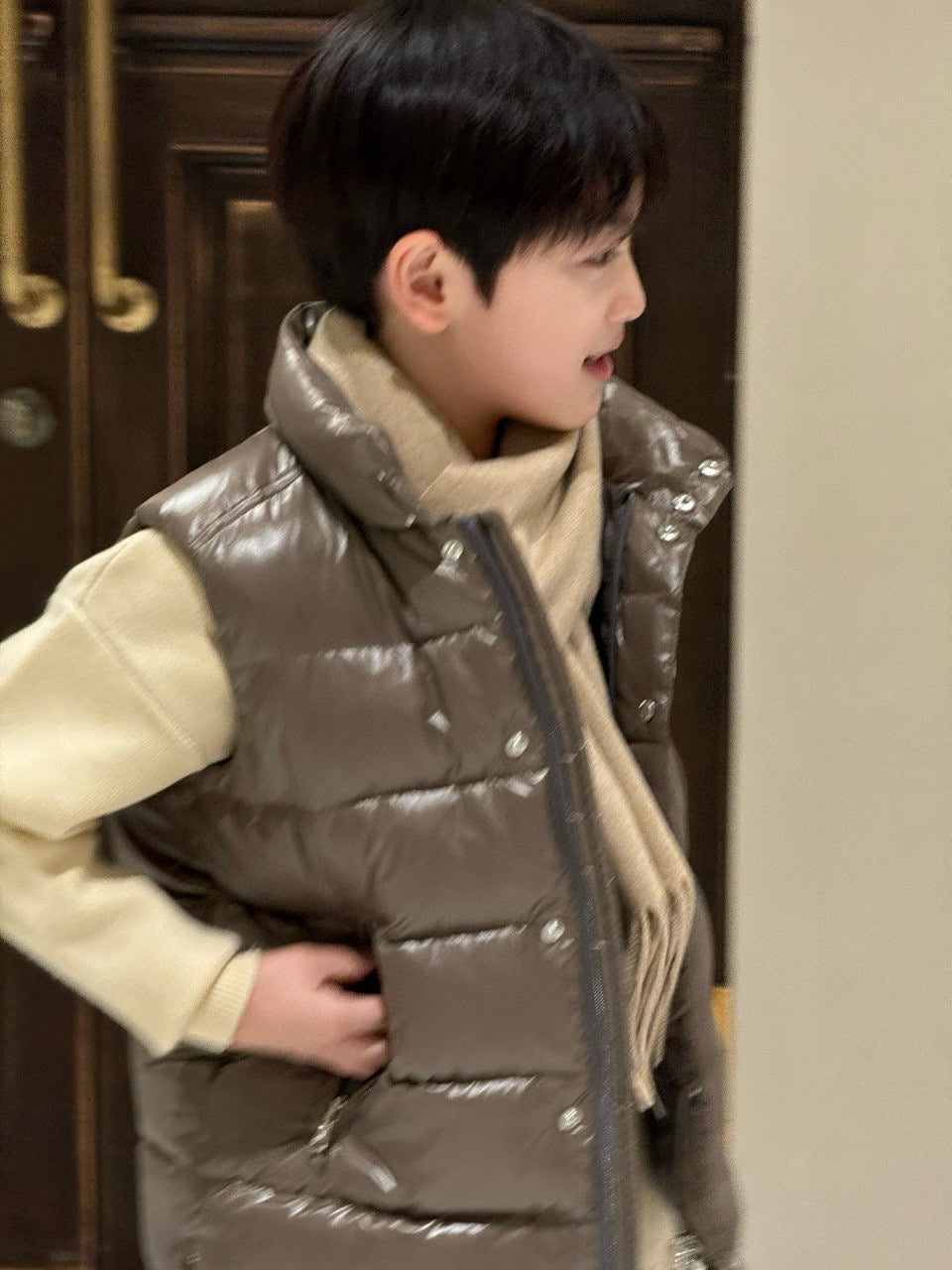 Moncler Insulated Vest Jacket