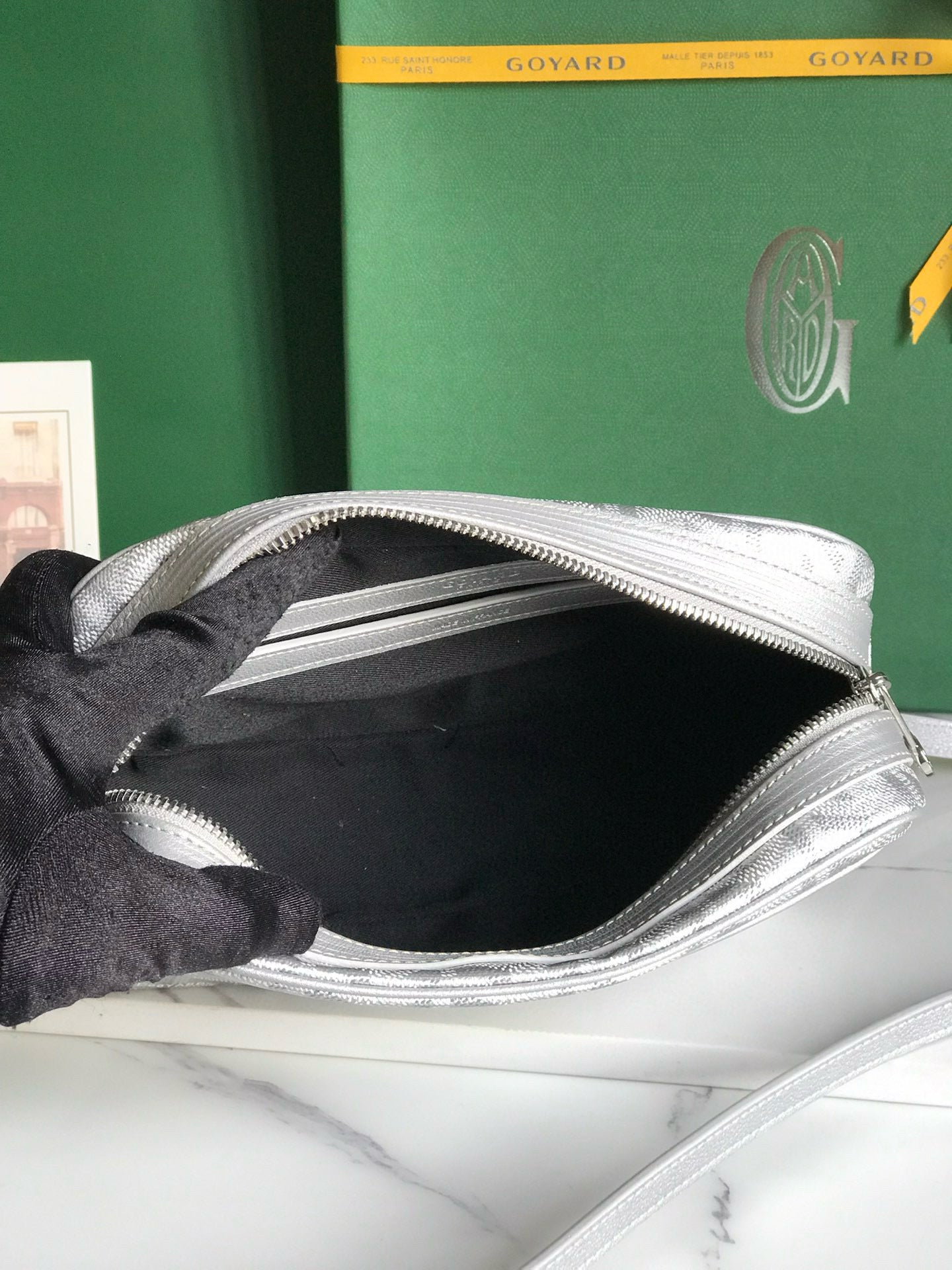 GOYARD CAP-VERT PM BAG