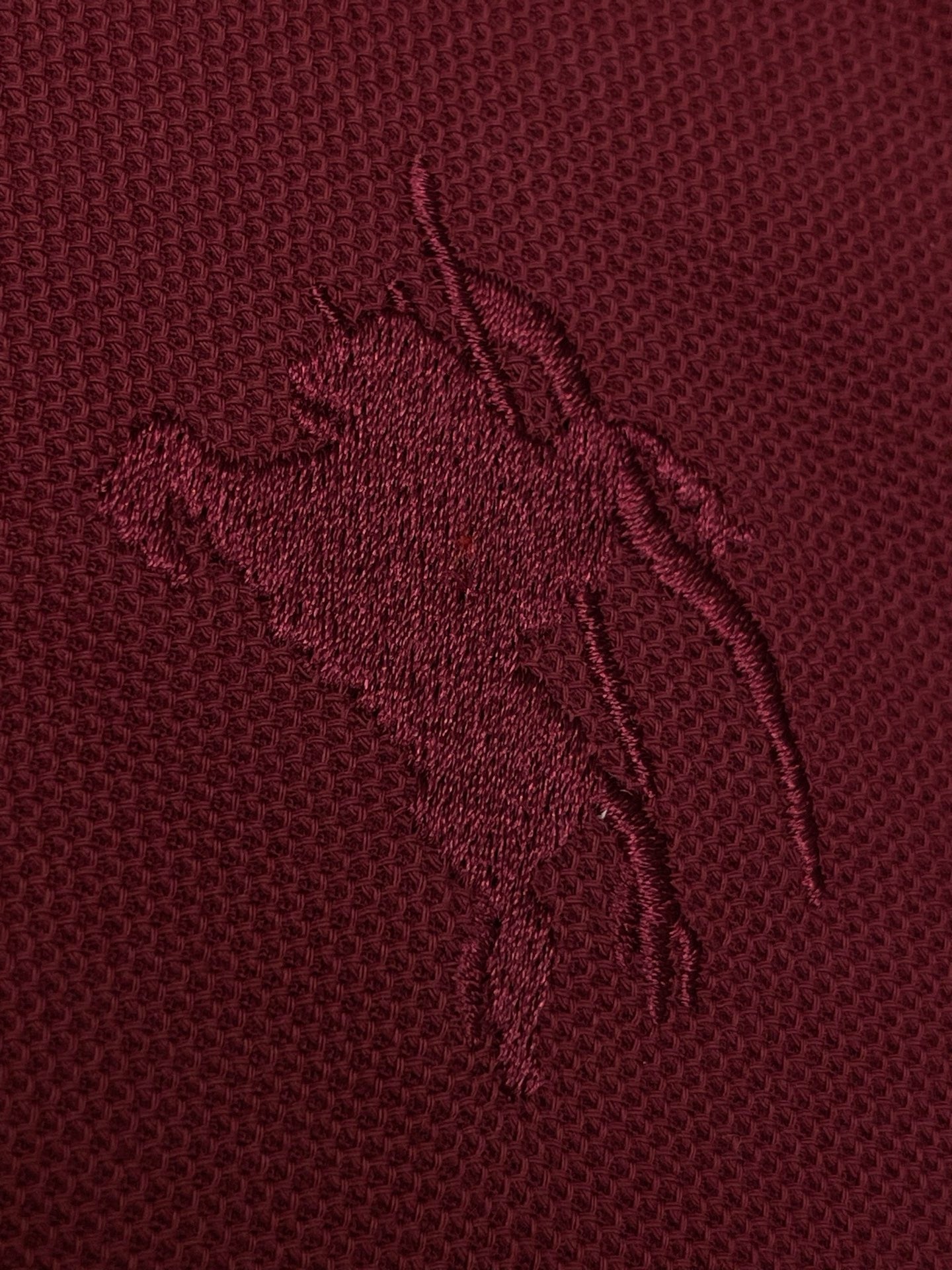BBR Polo