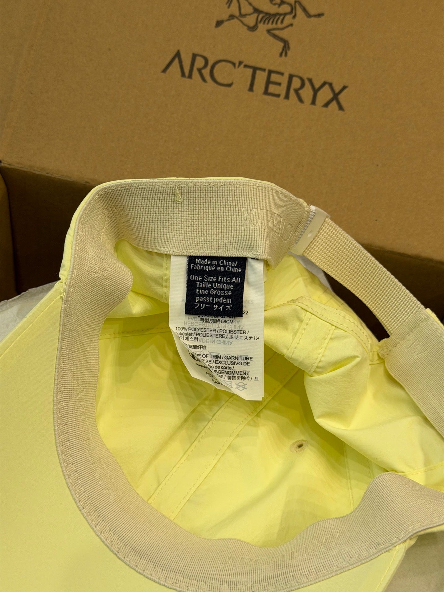 Arcteryx Caps