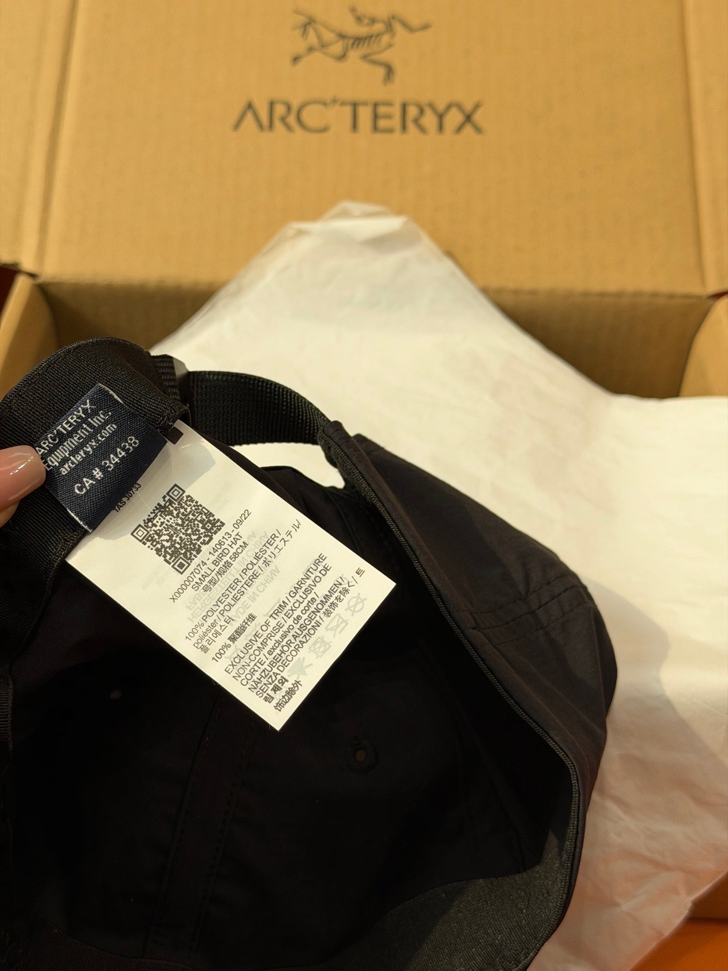Arcteryx Caps