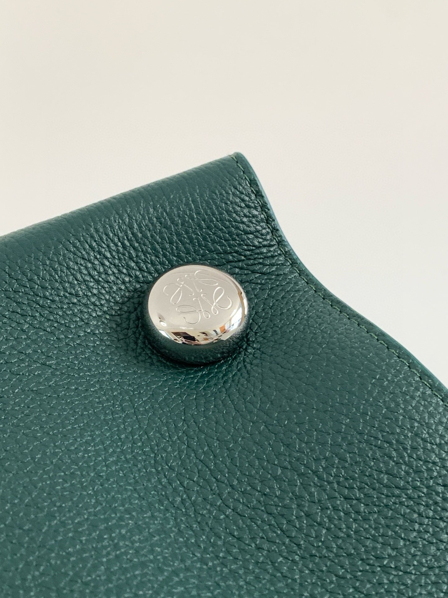 Loewe Pebble Leather