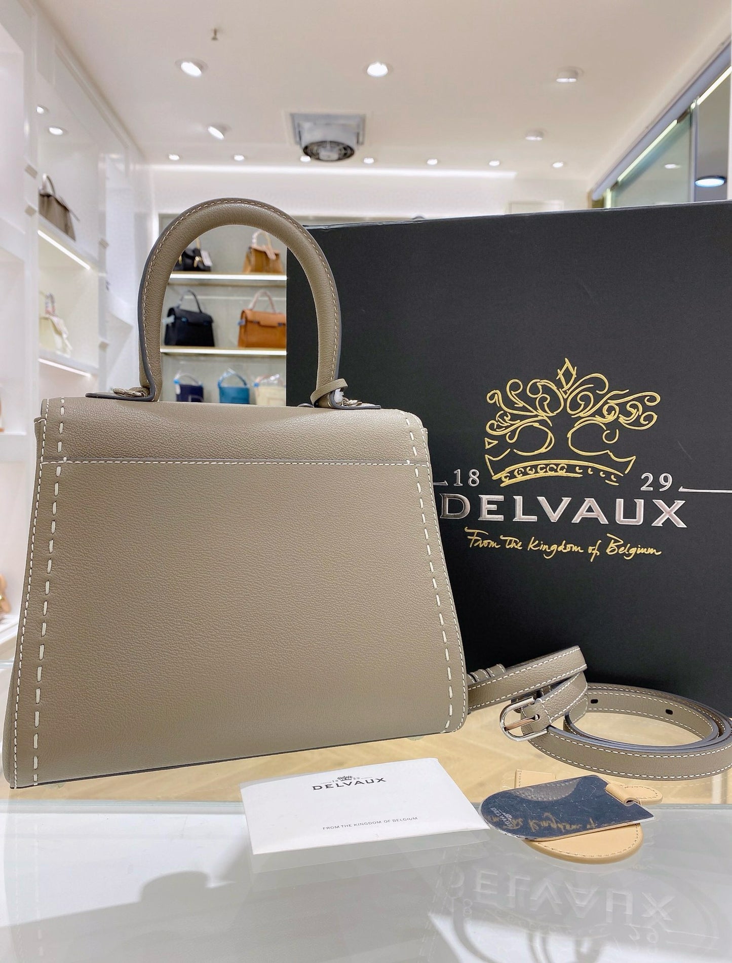 Delvaux Brillant Mini Surpique Rodeo Calf Handbag