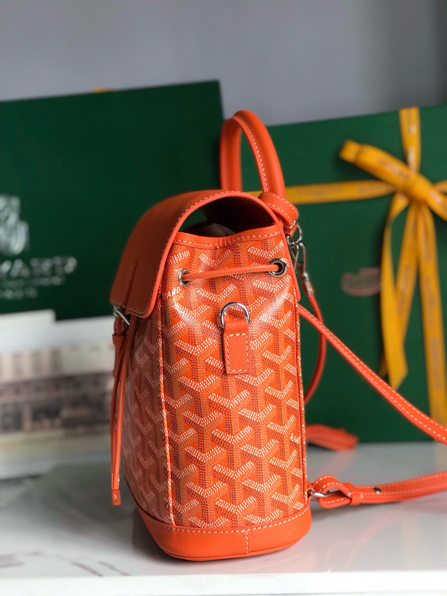Goyard Mini Alpin Backpack
