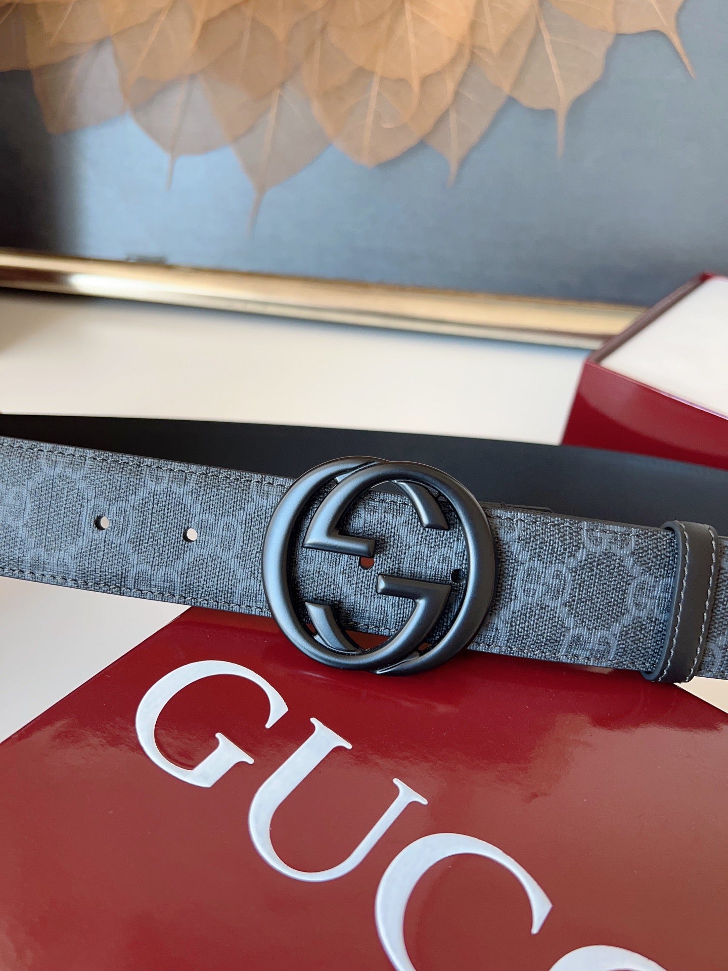Gucci Belts