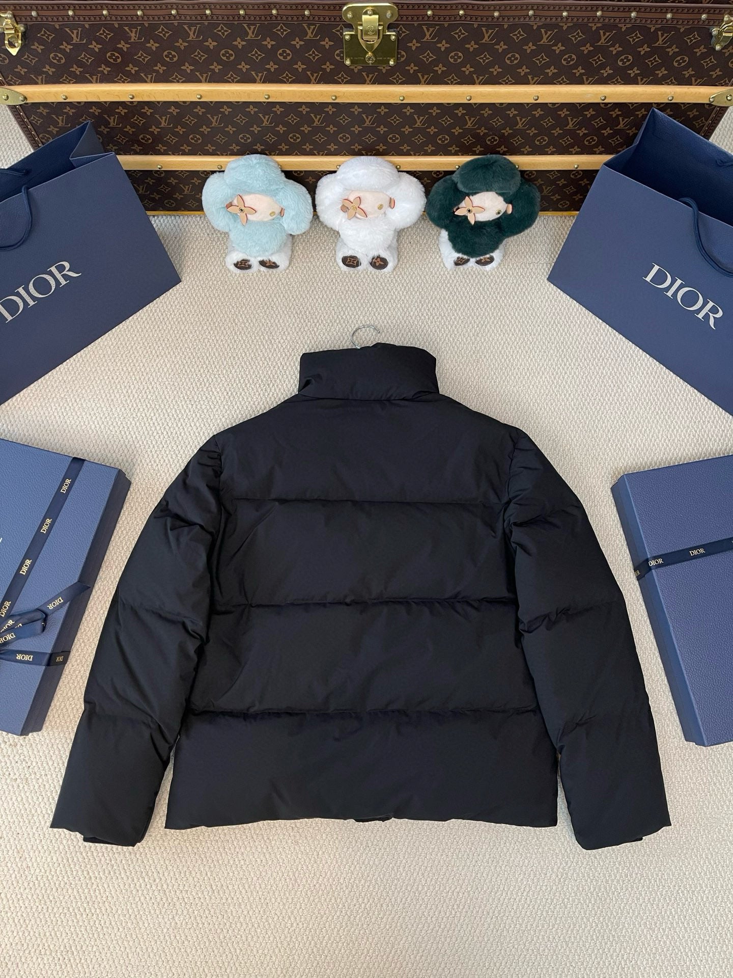 Dior Down Jacket