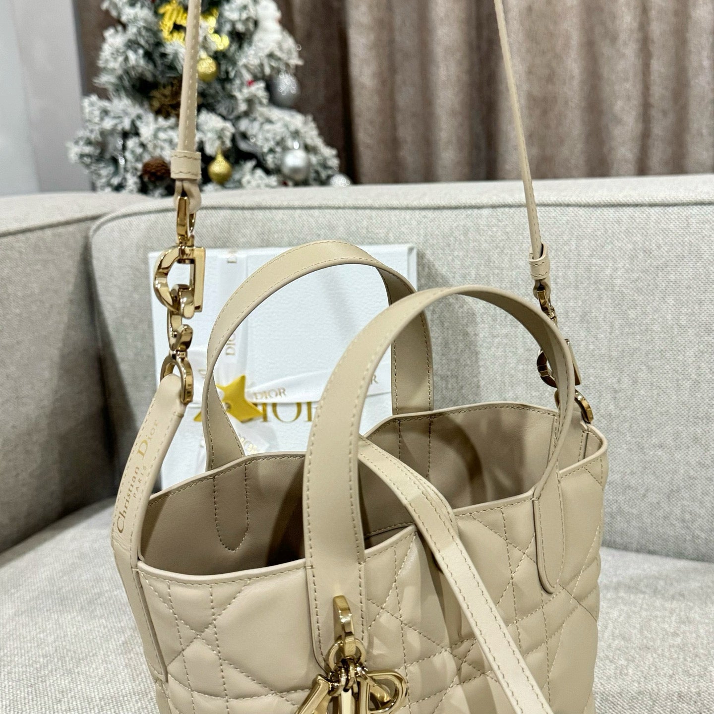 Dior Toujours Mini Bag