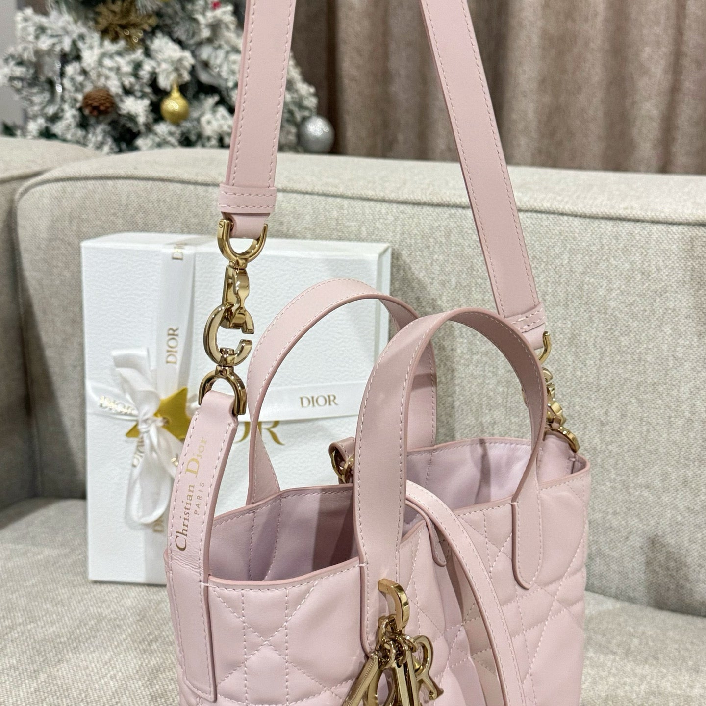 Dior Toujours Mini Bag