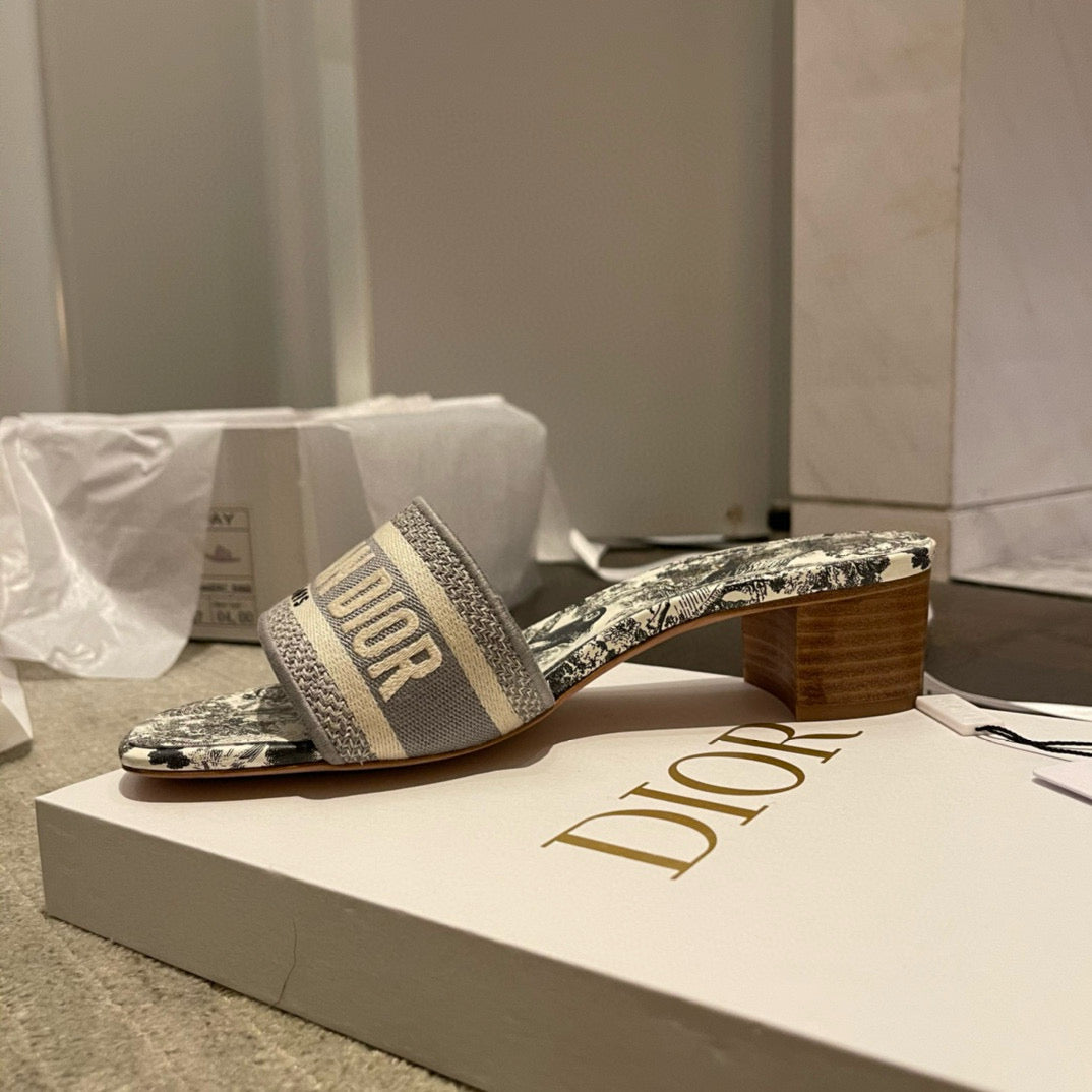 Dior Slides