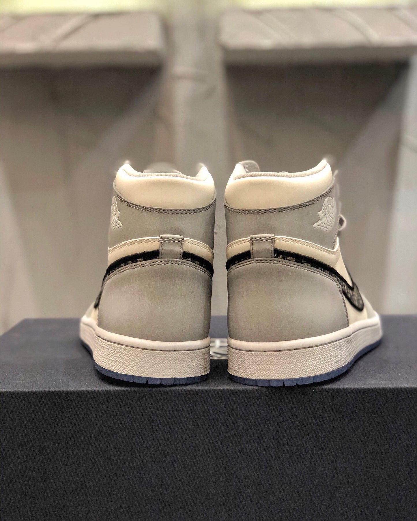Dior x Air Jordan 1 High