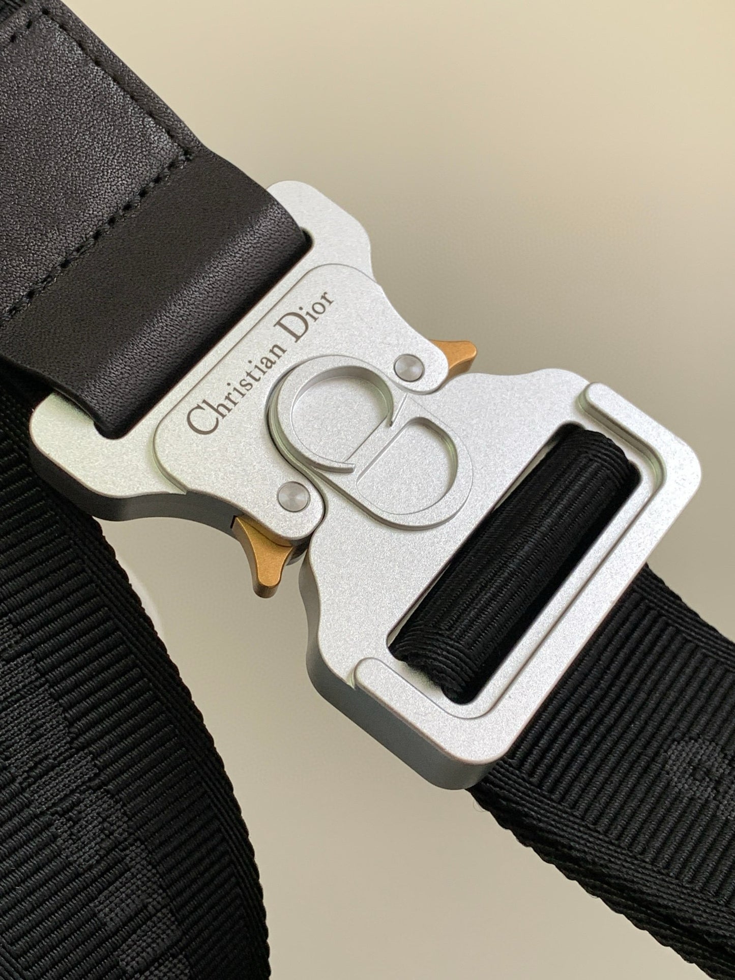 Dior Saddle Bag