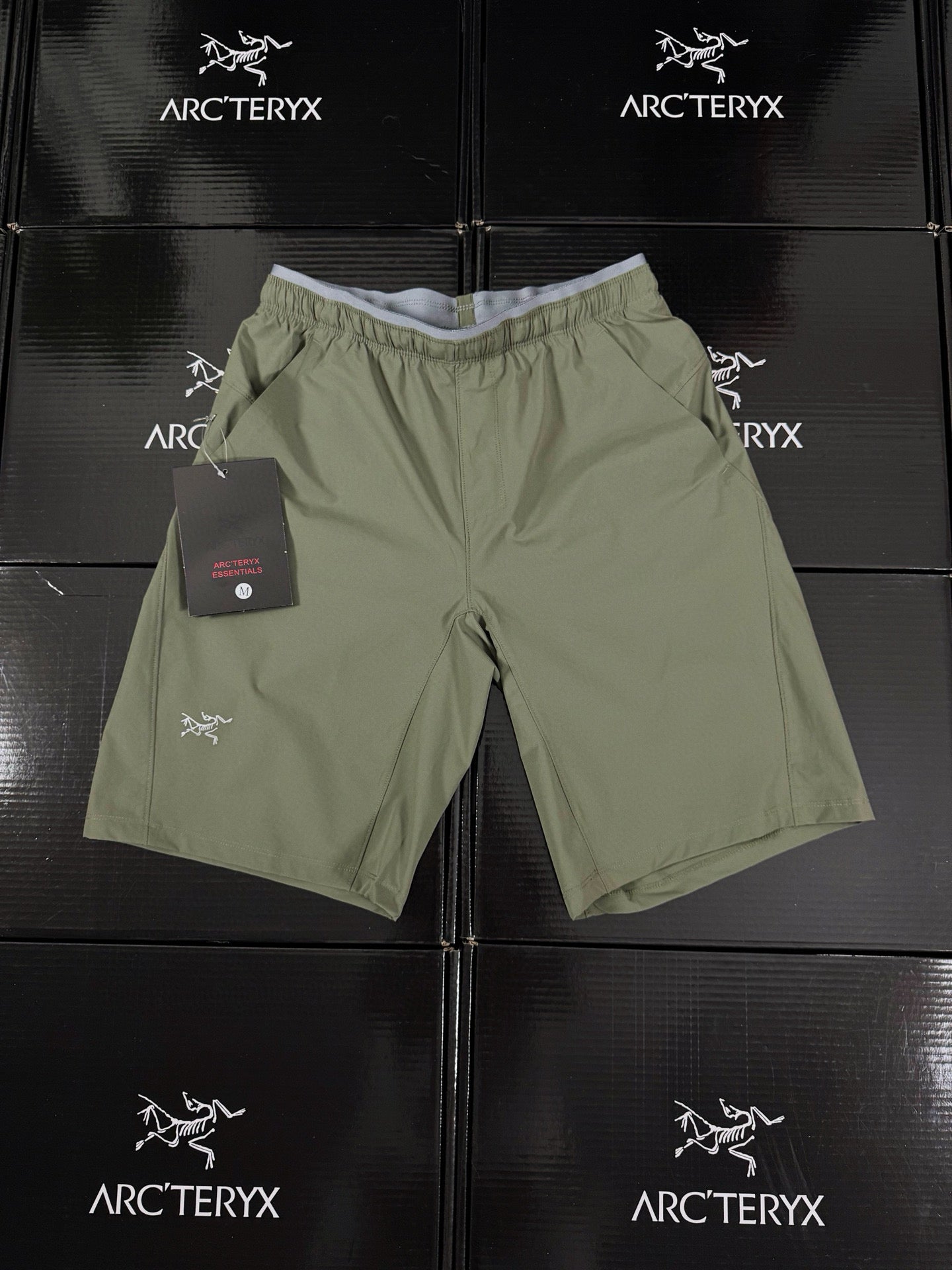 Arcteryx Short
