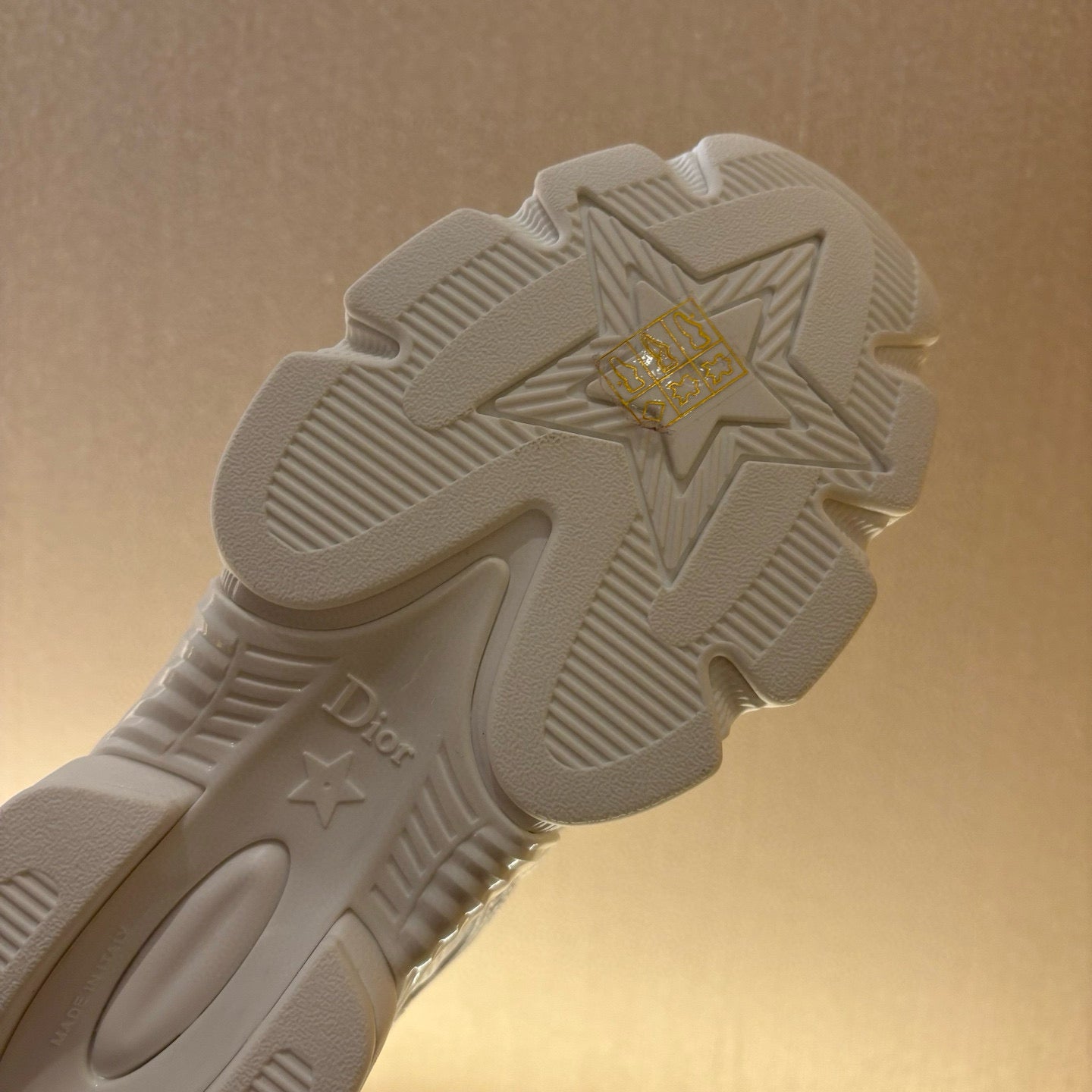 Dior Sneakers