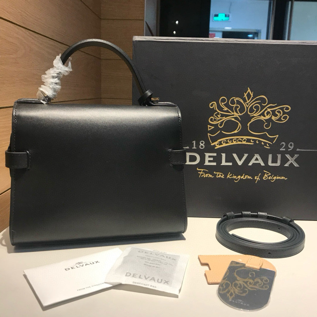 Delvaux Tempete Handbag