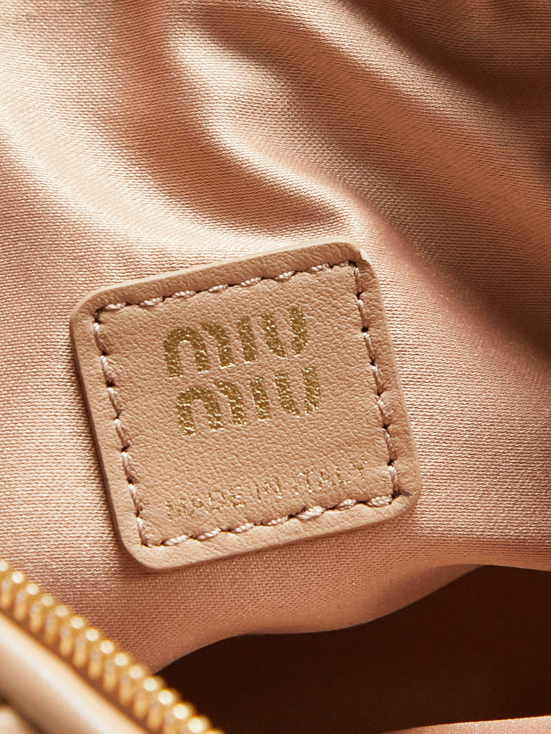 Miu Miu Case Bag